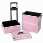Professional cosmetic trolley case 301-2