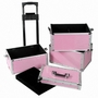 Professional cosmetic trolley case 301-2